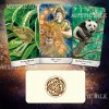 Таро Божественных Животных (безрамочное)(Animals Divine Tarot (borderless))
