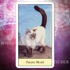 Таро Кошачий Взгляд (Cat’s Eye Tarot)