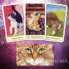 Таро Кошачий Взгляд (Cat’s Eye Tarot)