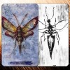 Таро Заповедного Леса (безрамочное) (Tarot of the Secret Forest (borderless))