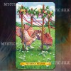Таро Сов (Tarot of the Owls)