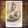Таро Загадка Да Винчи (Da Vinci Enigma Tarot)