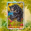 Таро Анимизма (The Animism Tarot)