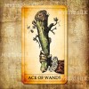 Темное Таро (Dark Tarot)