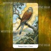 Таро Дикого Лісу (Wildwood Tarot)