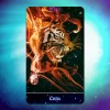 Таро Созвездия Сириуса (The Sirian Starseed Tarot)