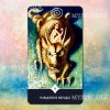 Таро Пространства Вариантов (Tarot range of variations)