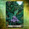 Оракул растений Друидов (Druid Plant Oracle)