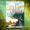 Оракул растений Друидов (Druid Plant Oracle)