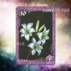 Лілові та Вишневі Сутінки (Lilac and Cherry Twilight Lenormand)