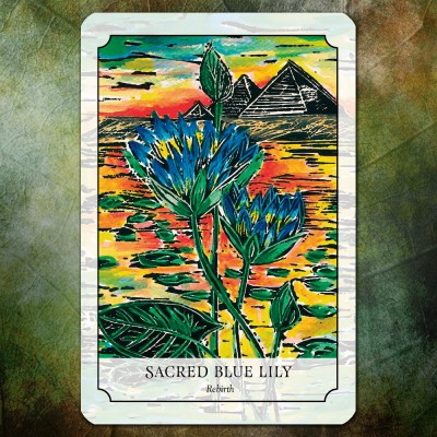 Гадальні карти квітів (Flower Reading Cards)