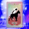 Ленорман Цирк бабочек (The Butterfly Circus Lenormand)
